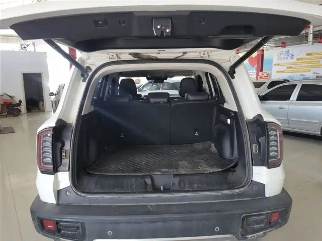 Haval Big Dog 2022 1.5T DCT FWD Border Collie Edition фото 19