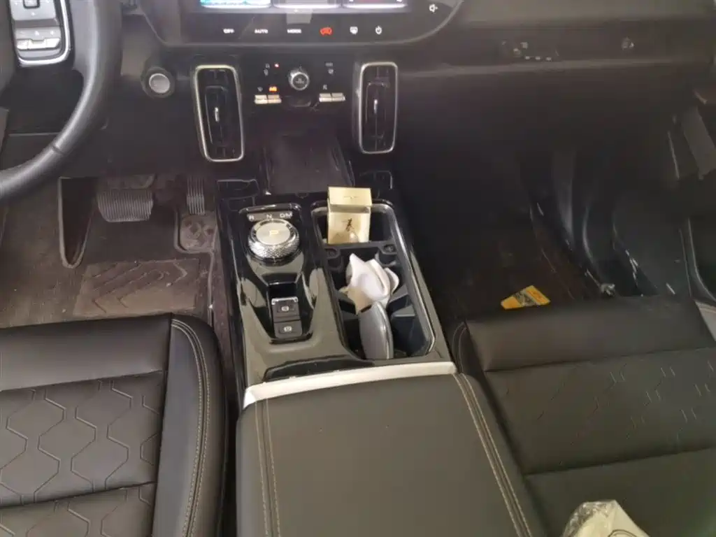 Haval Big Dog 2022 1.5T DCT FWD Border Collie Edition фото 14