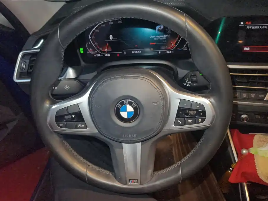 BMW 3 Series 2020 320Li M Sport Package фото 15