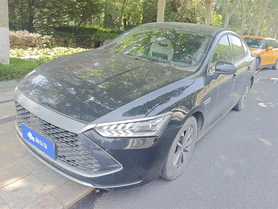 BYD Qin PLUS 2023 Champion Edition DM-i 55KM Leading
