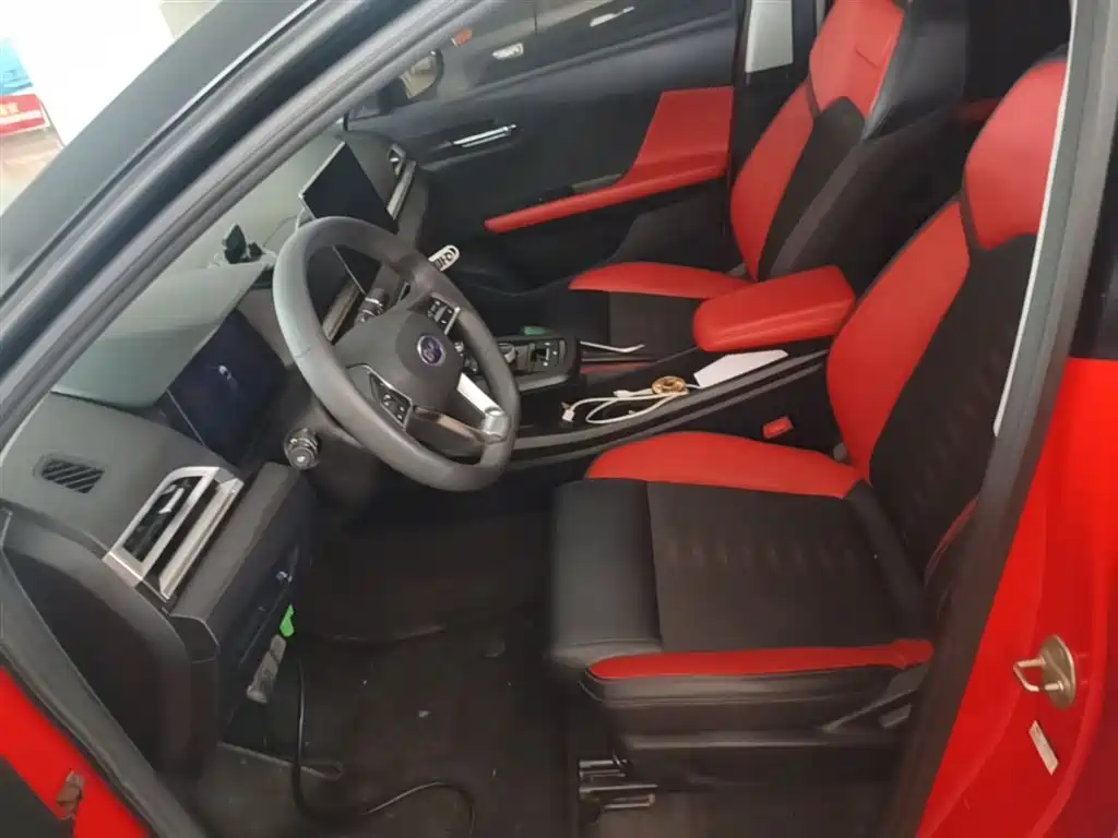 BYD e2 2019 Standard Range Intelligent Comfort фото 15