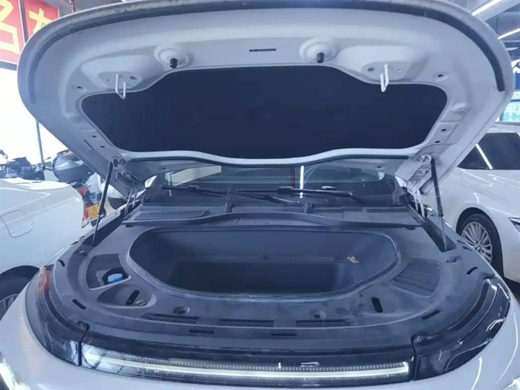XPeng G9 2022 650 Performance Max фото 20