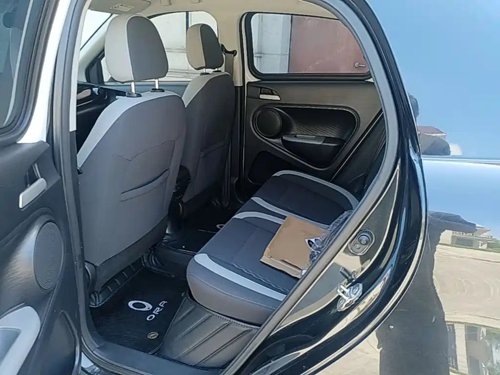 Ora Black Cat 2022 2022 Facelift 301km Pet Edition LFP Version