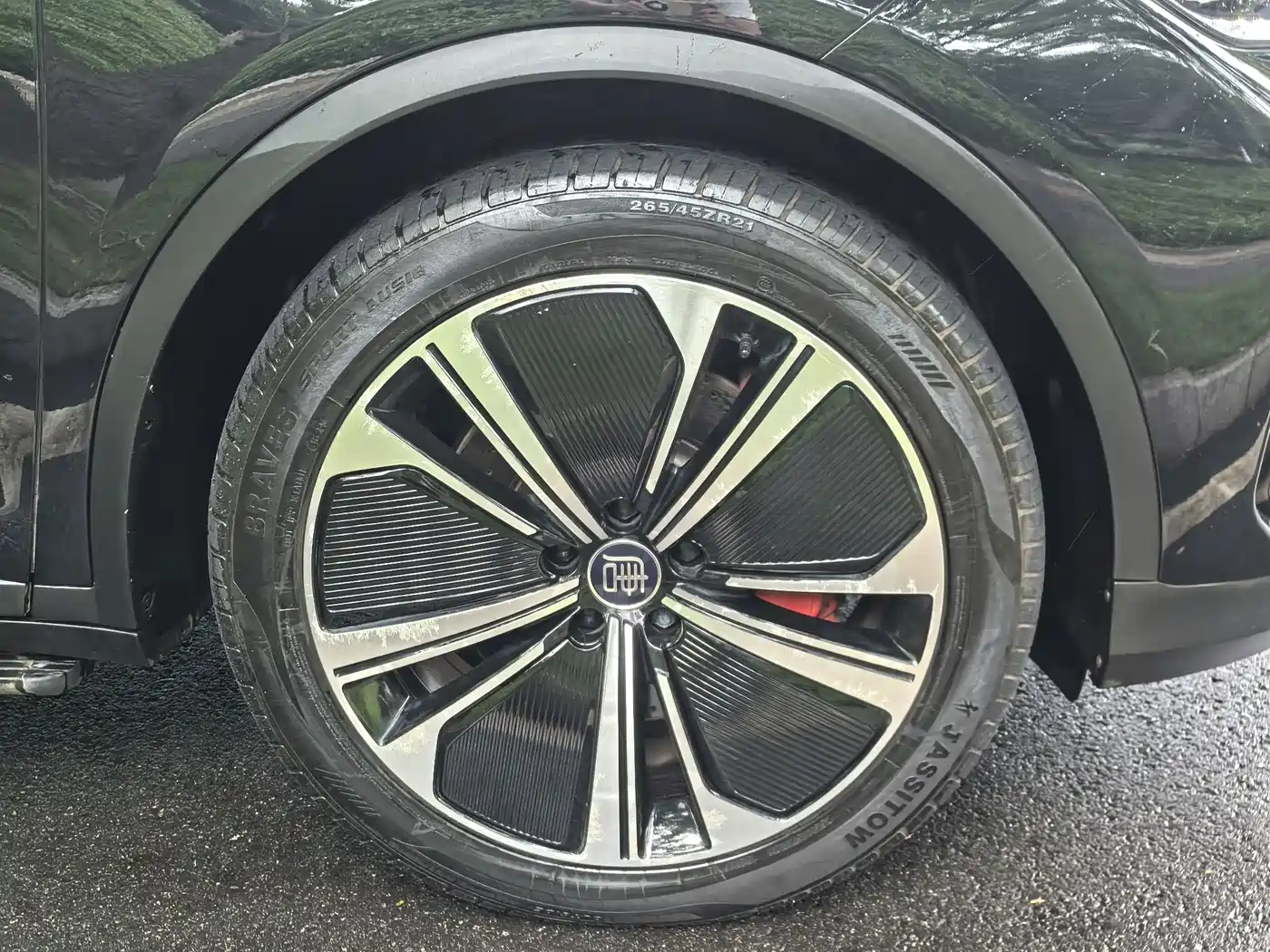 BYD Tang New Energy 2022 DM-p 215KM AWD Executive фото 13