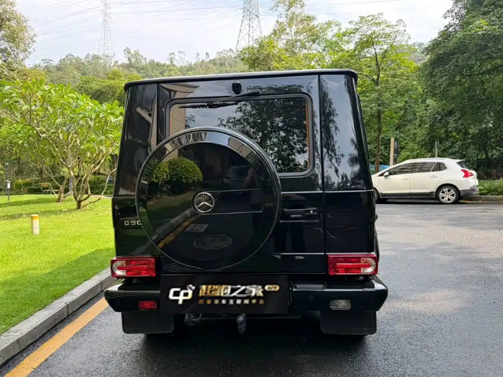Mercedes-Benz G-Class 2017 G 500 фото 5