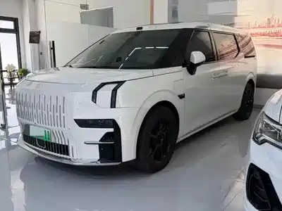 Zeekr 009