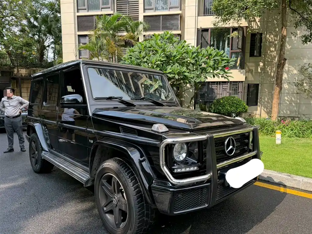 Mercedes-Benz G-Class 2017 G 500 фото 3
