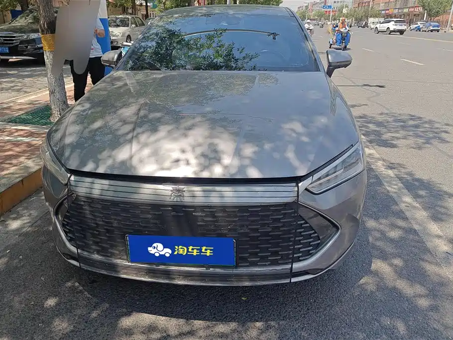 BYD Qin PLUS 2023 Champion Edition DM-i 120KM Excellence фото 2