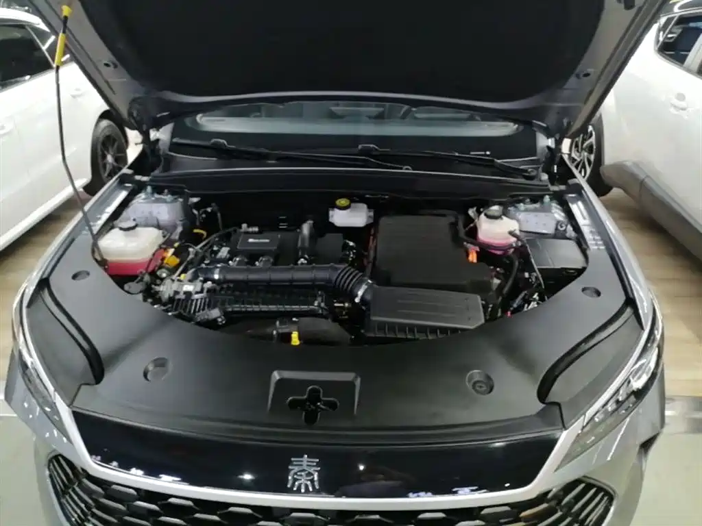 BYD Qin PLUS 2025 DM-i Smart Drive 55KM Leader фото 20