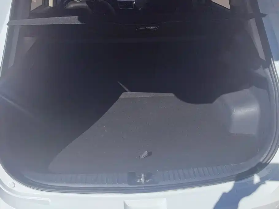 2020 Besturn X40