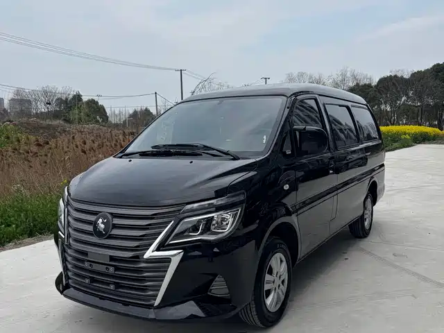 dongfeng lingzhi