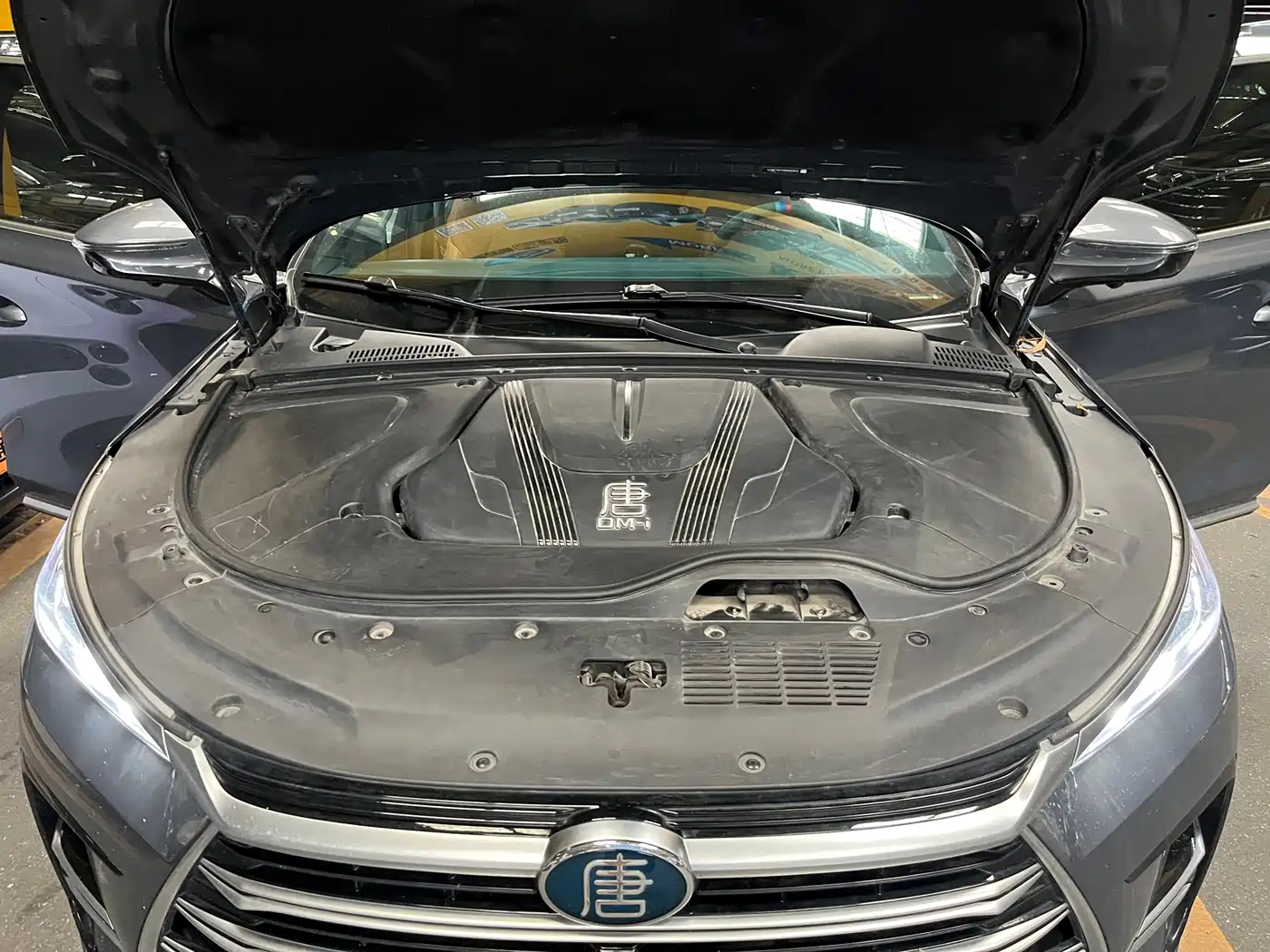 BYD Tang New Energy 2023 Model DM-i Champion Edition 112KM Honor фото 22