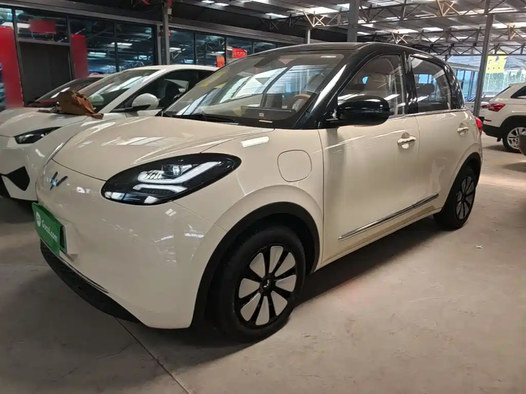 Wuling Motors Wuling Bingo 2025 Model 333km Joy Edition