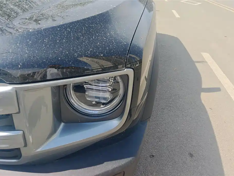 Haval Big Dog 2024 1.5T DCT Border Collie Edition фото 5