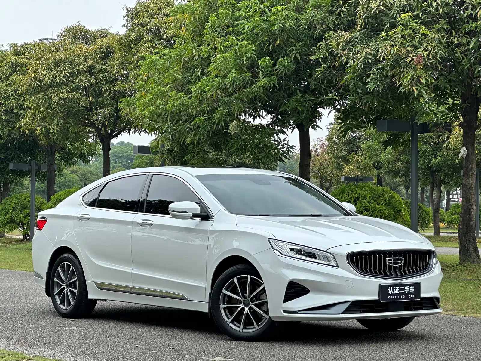 Фото 3 - Geely Borui