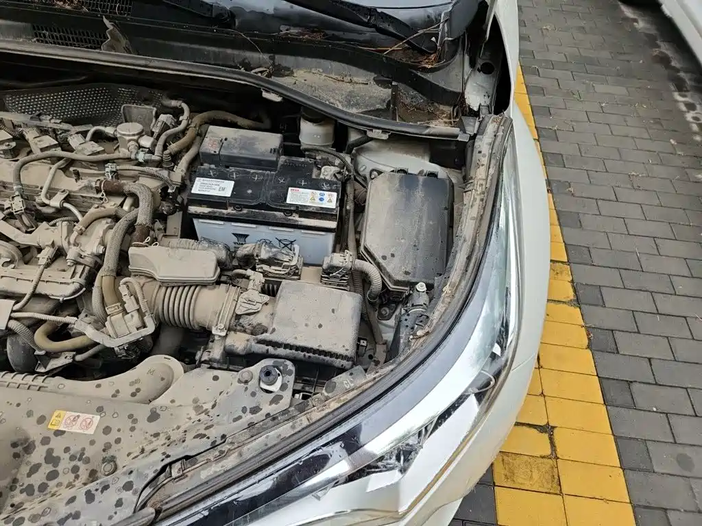 Toyota C-HR 2019 2018 2.0L Leading Sunroof Edition China VI