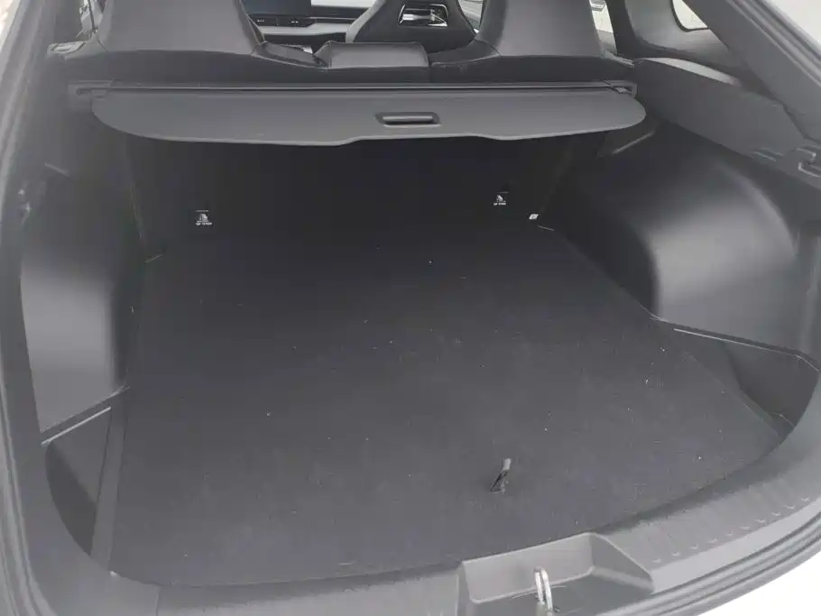 Haval H6S 2022 2022 Model 2.0T 2WD Smart Run Edition