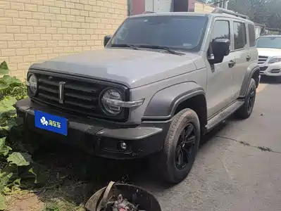Tank 300