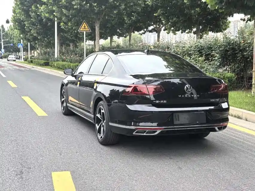 Volkswagen Magotan 2024 2 Million Units Public Sharing Edition 330TSI DSG Luxury фото 9