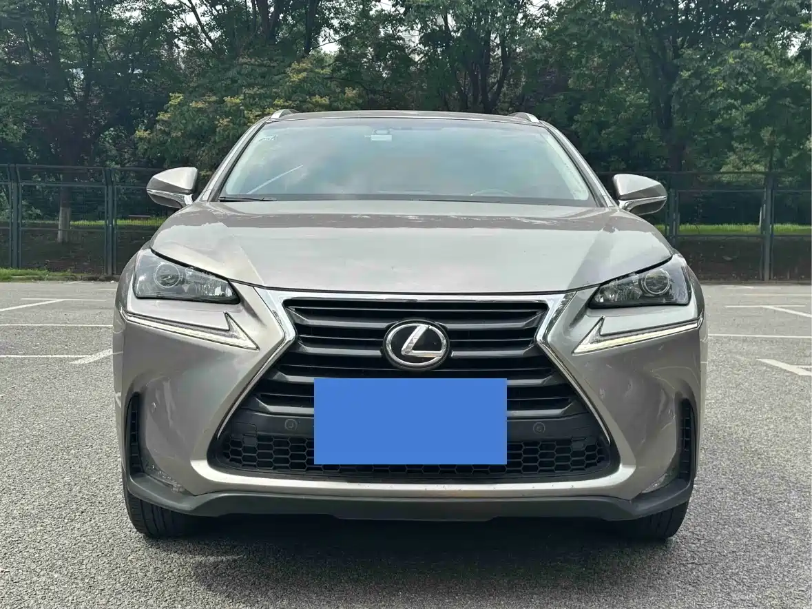 Lexus NX 2016 200 AWD F Sport фото 2