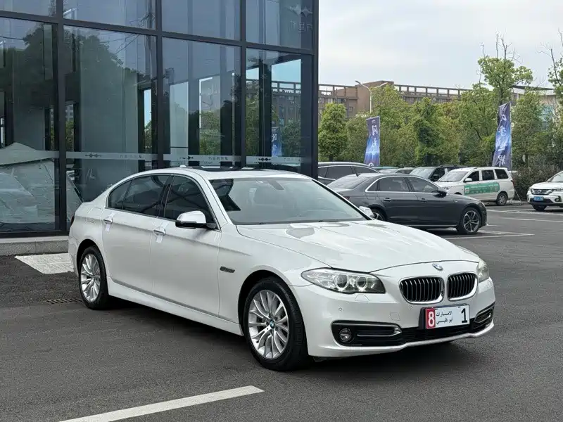 BMW 5 Series 2014 525Li Luxury Design Package фото 3