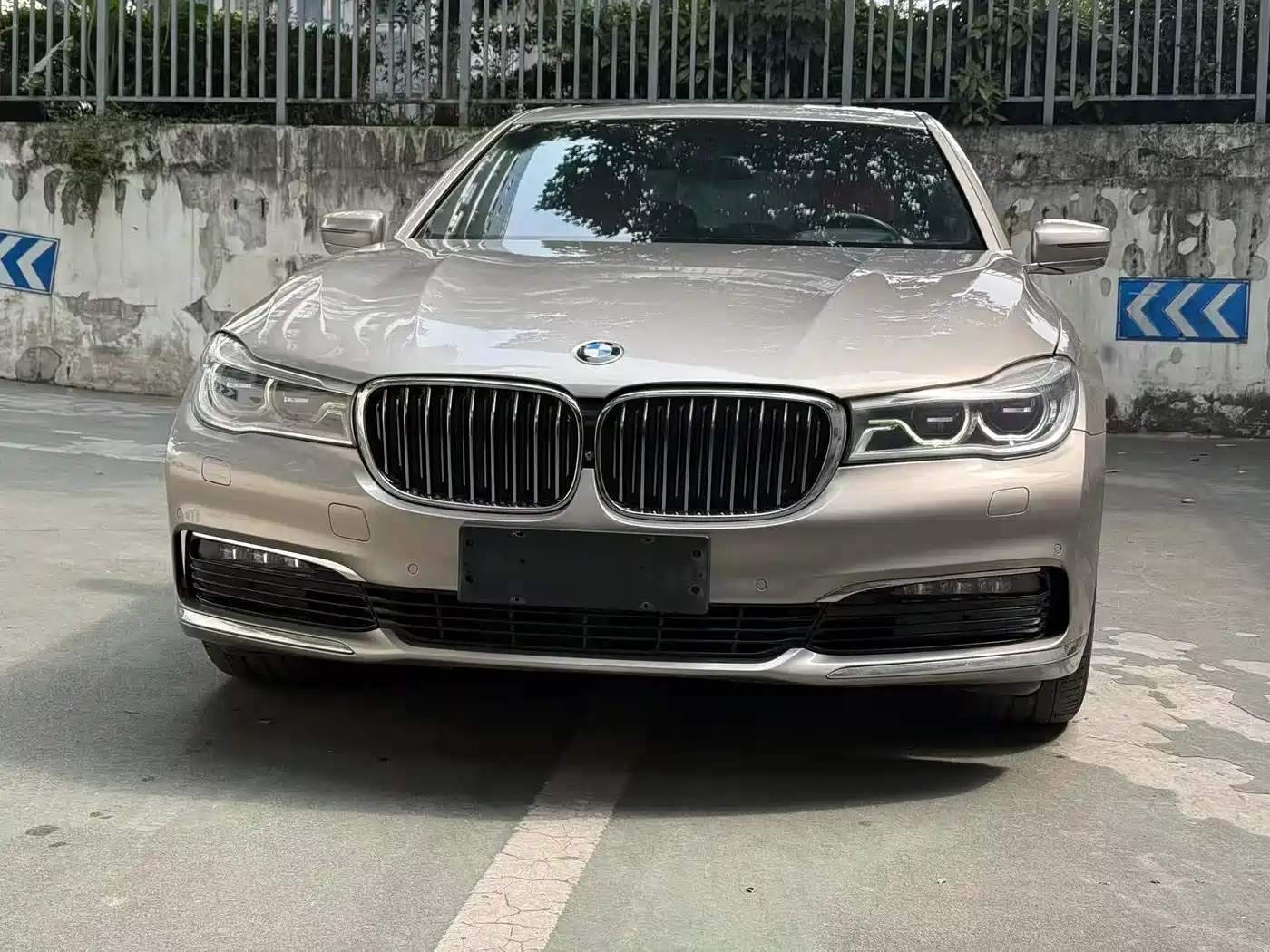BMW 7 Series 2016 730Li Luxury фото 2