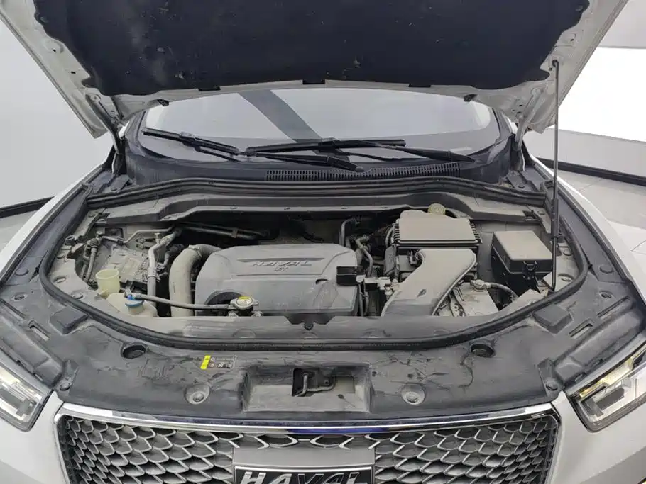 Photo 10 - Haval H2s