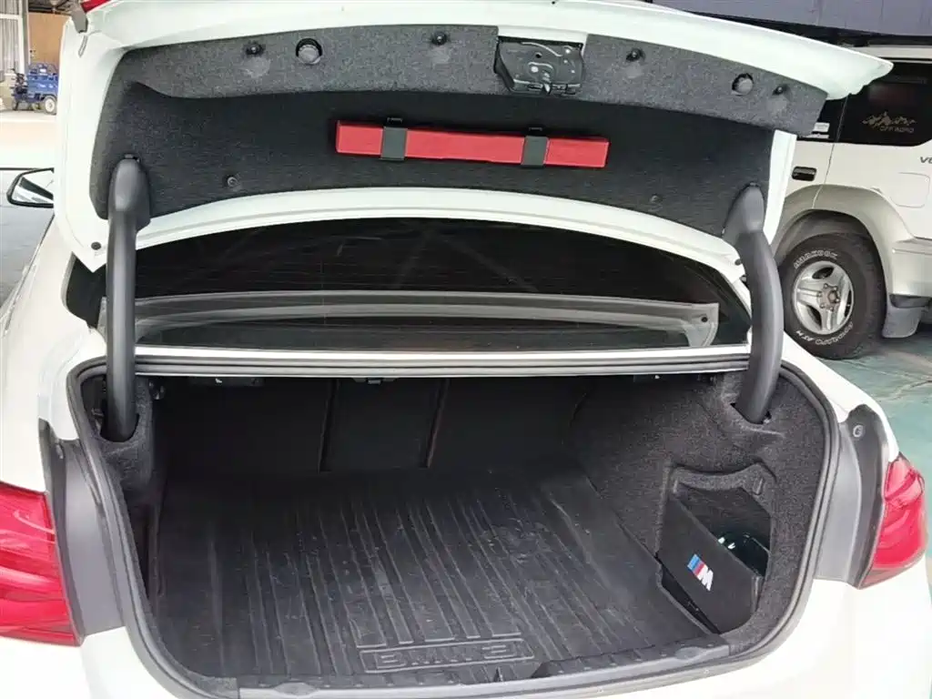 BMW 3 Series 2019 320Li Fashion Type фото 19