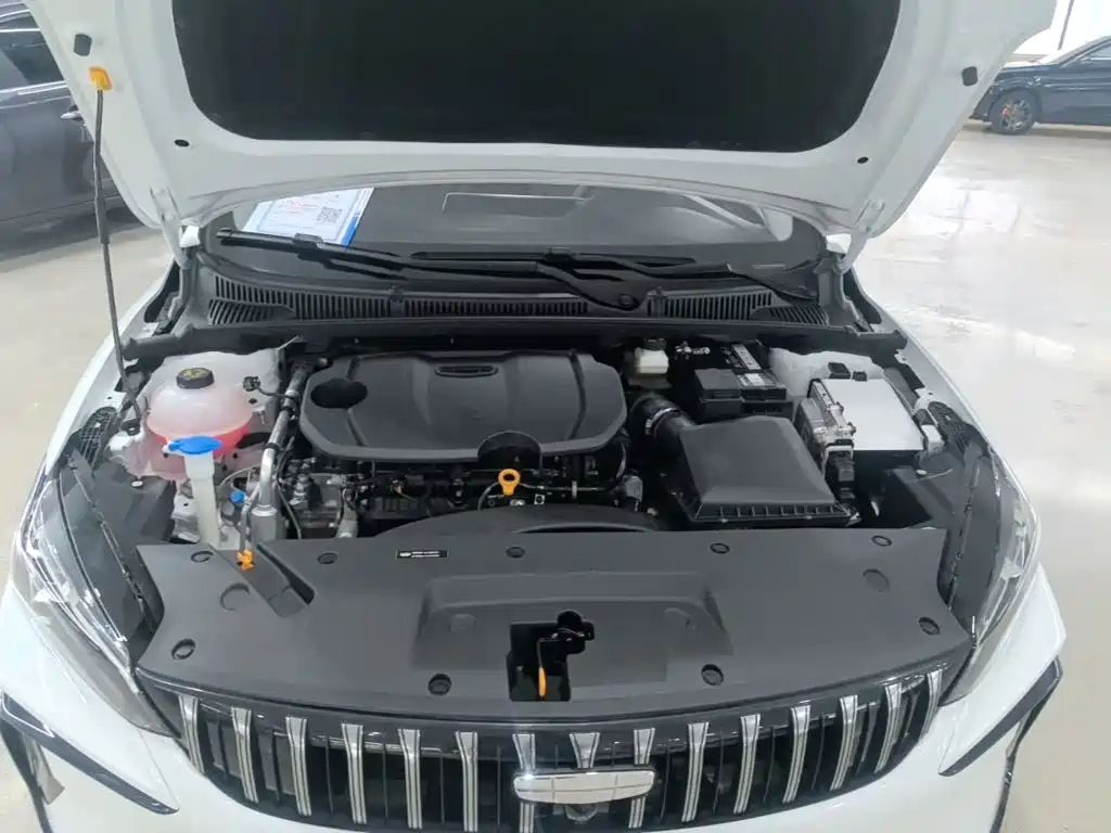 Geely Binrui 2025 2024 Binrui COOL 1.5T DCT Soaring Dragon Edition
