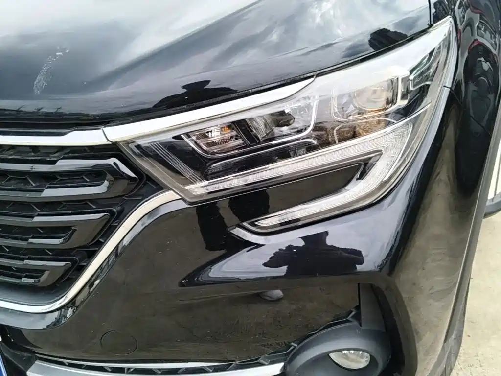 Dongfeng Fengxing Fengxing T5 2020 2021 1.6L Manual Comfort