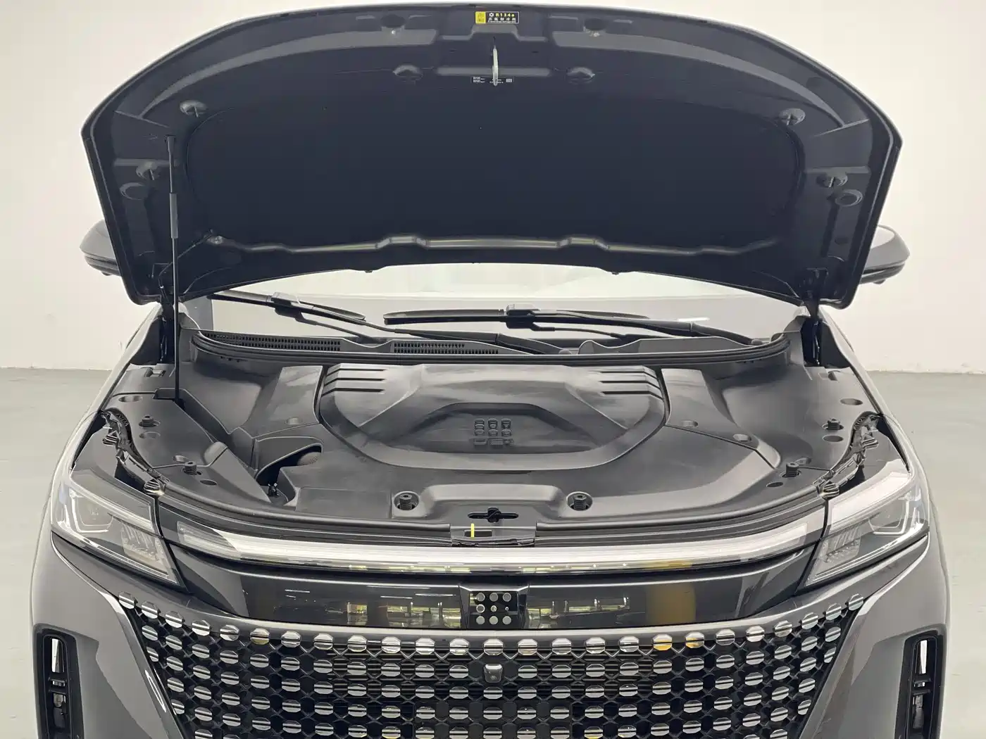 Landian E5 2024 2024 Glory Edition 100KM Ultimate Type 7-Seater
