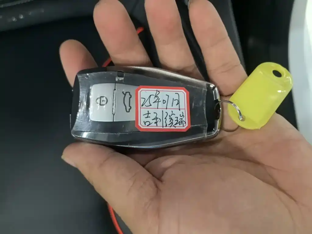 Geely Binrui 2025 2024 Binrui COOL 1.5T DCT Soaring Dragon Edition