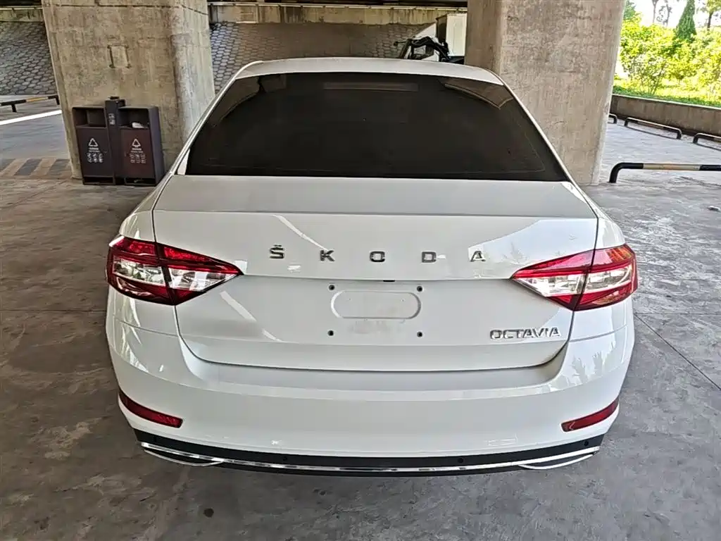 Škoda Octavia 2019 1.5L Automatic Smart Luxury China VI фото 6