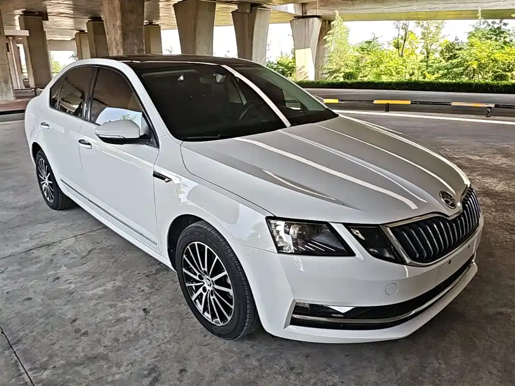 Škoda Octavia 2019 1.5L Automatic Smart Luxury China VI фото 4