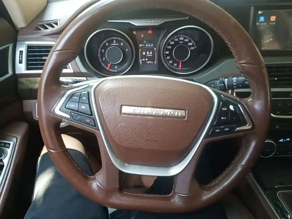 Leopaard CS10 2019 2017 2.0T Manual Excellence