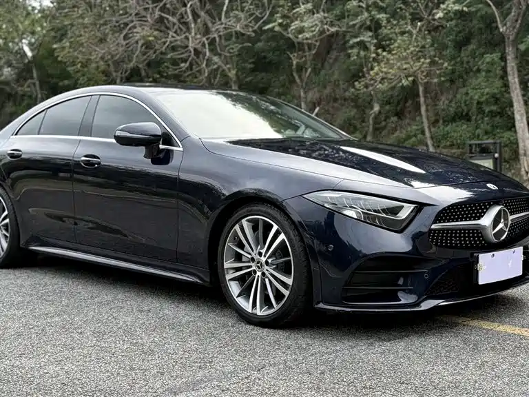 Mercedes-Benz CLS 2021 CLS 300 Sport фото 2