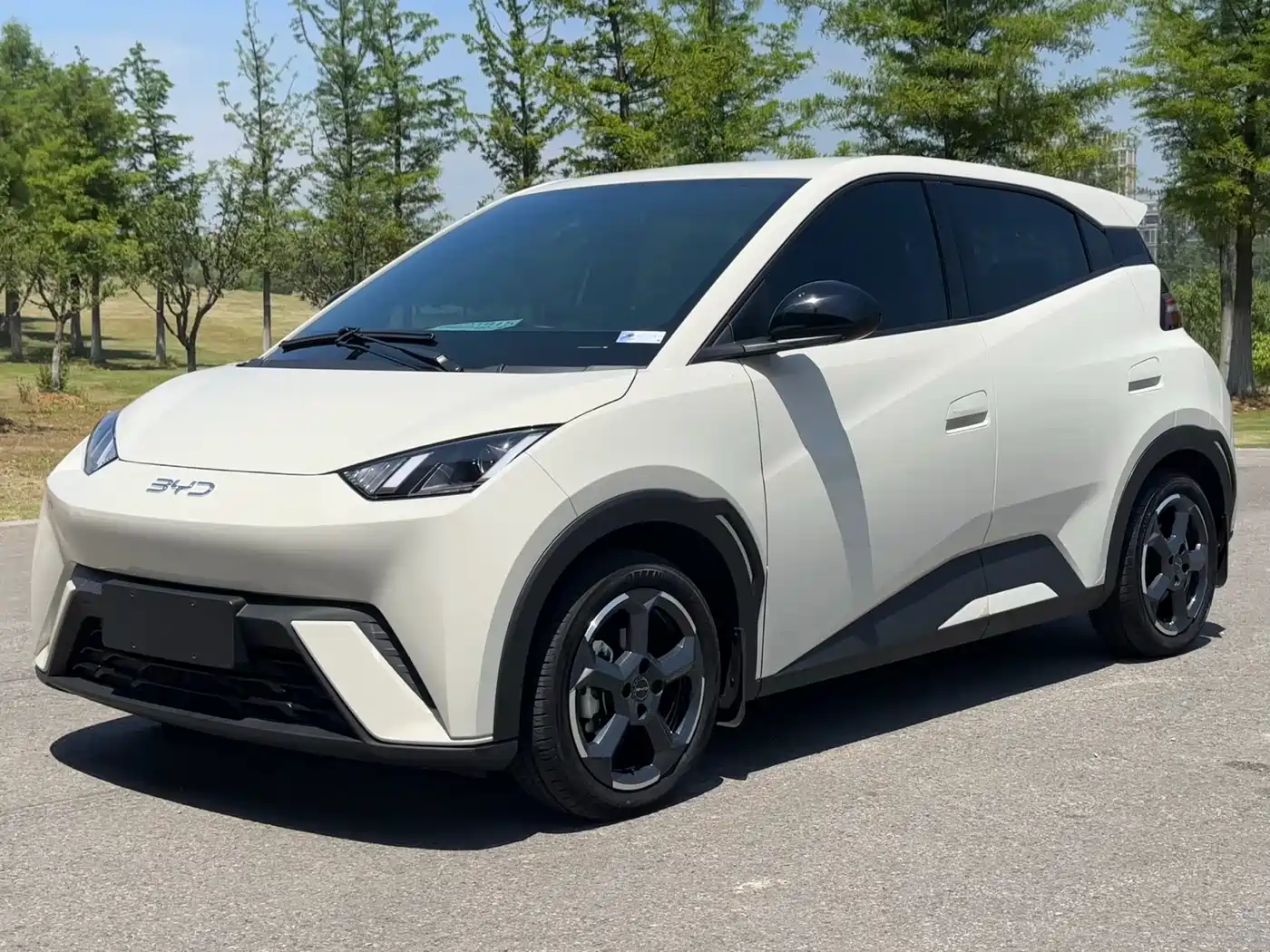 BYD Seagull 2024 Glory Edition 405km Soaring Edition