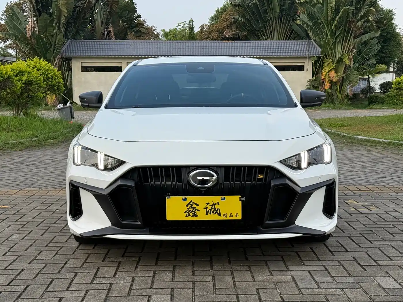 GAC SHADOW LEOPARD
