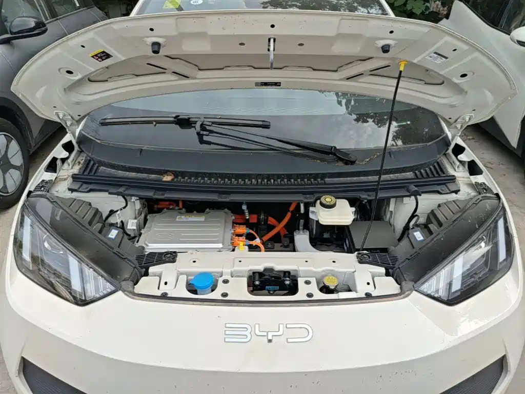 BYD Seagull 2025 Smart Drive Edition 305km Vitality Version фото 20