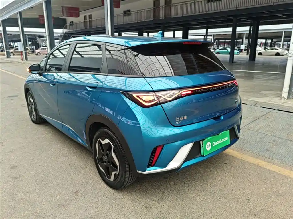 BYD Dolphin 2021 Model 405km Fashion Edition фото 5