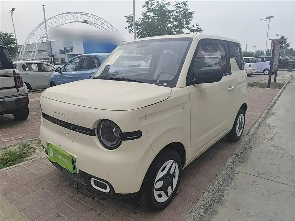 Geely Galaxy Panda 2025 Panda mini 210km Vitality Bear