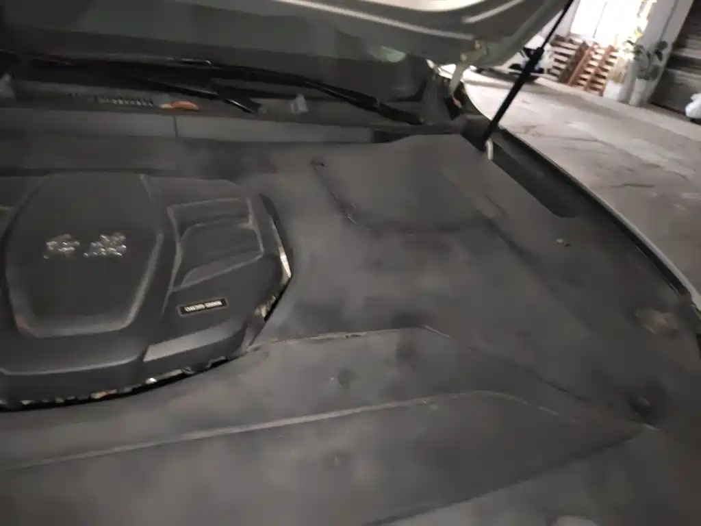 Hongqi HS5 2020 2019 2.0T Smart Connect Enjoy 4WD Edition