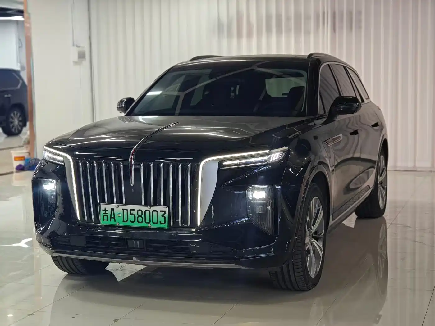 Hongqi E-HS9 2022