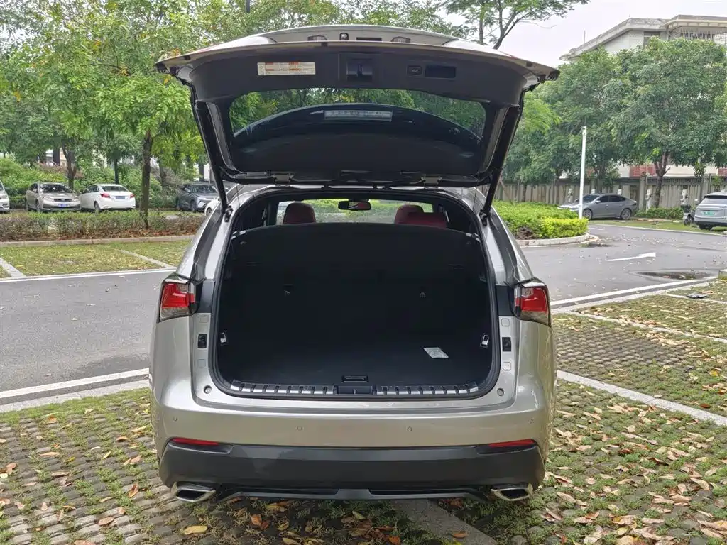 Lexus NX 2015 200t AWD F SPORT фото 18
