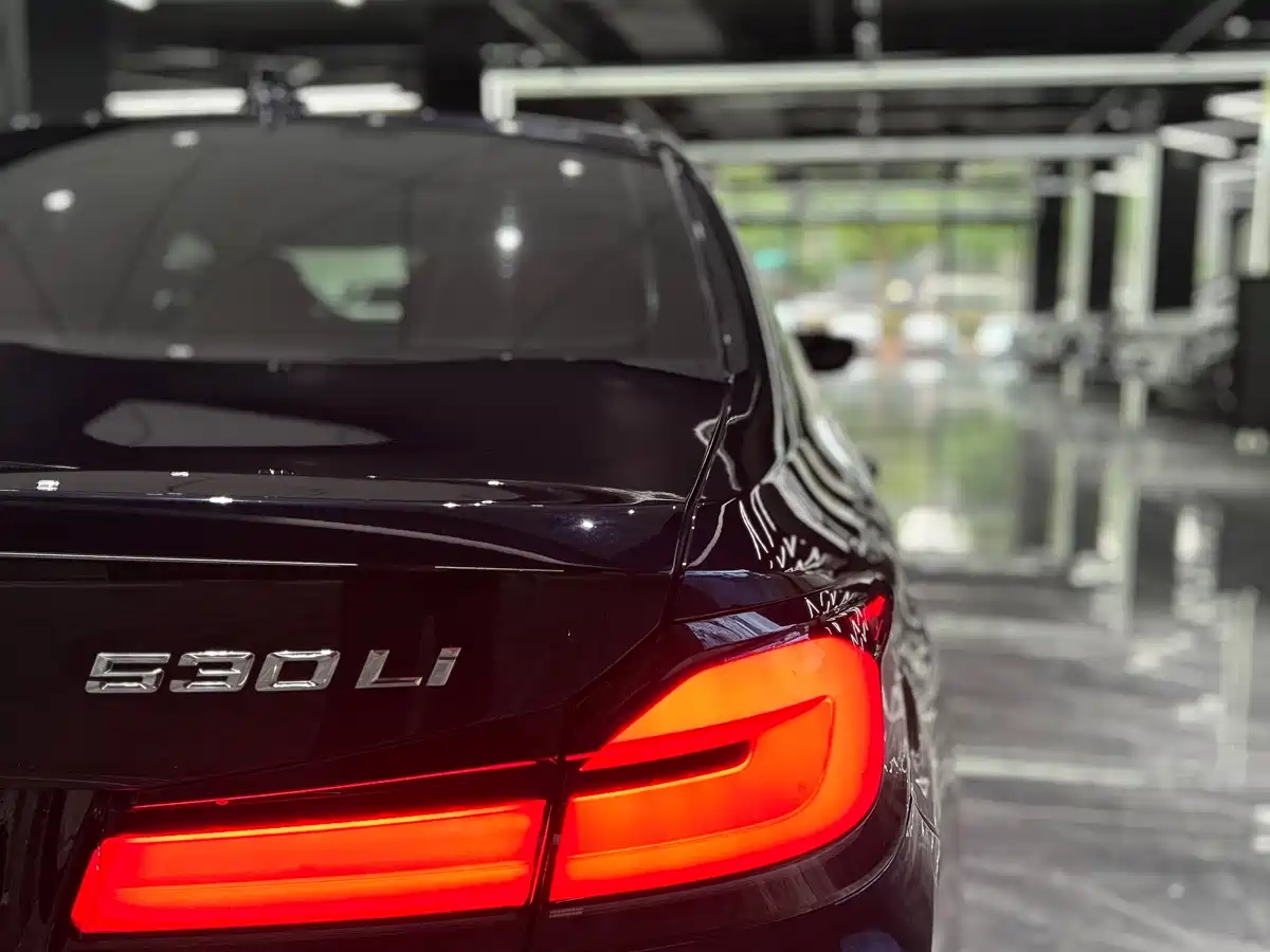 BMW 5 Series 2021 530Li Premium Luxury Package фото 45