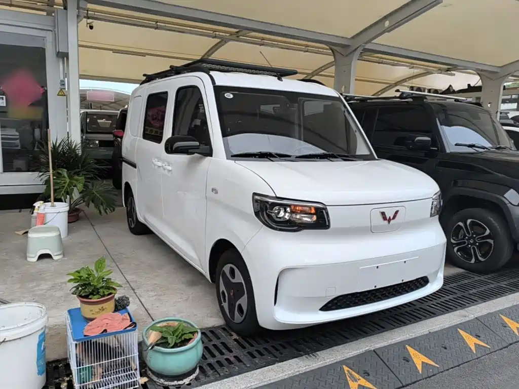 Wuling Motors Wuling Zhiguang NEV 2026 2025 Model 305km Base Version