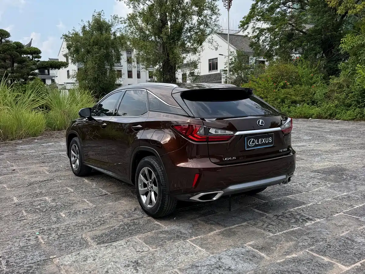 Фото 6 - Lexus RX