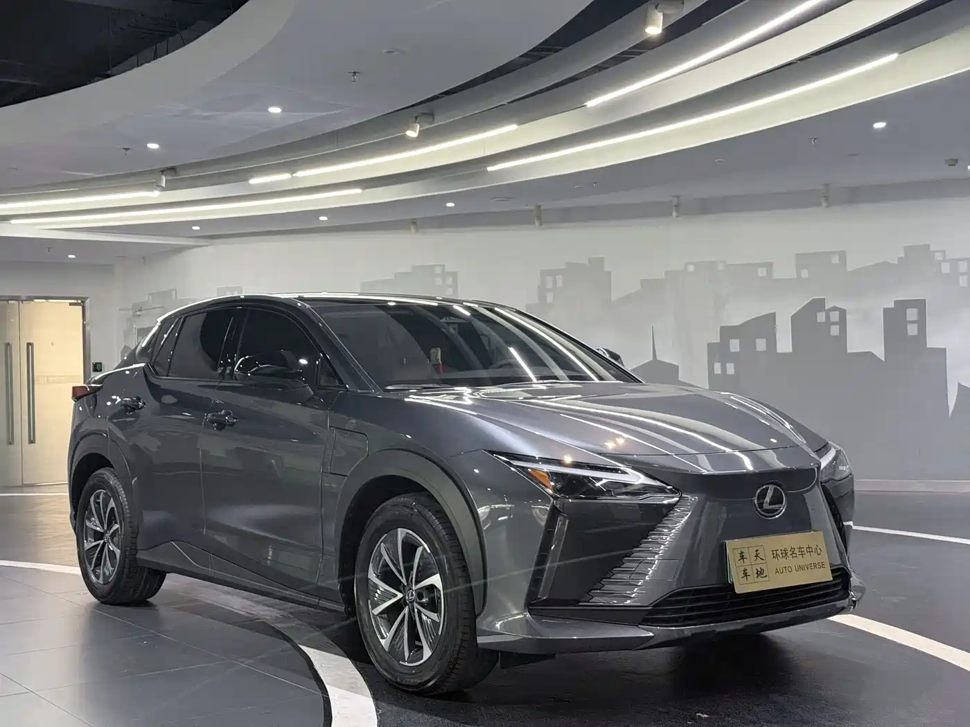 Lexus RZ 2023 450e 4WD Deluxe фото 3