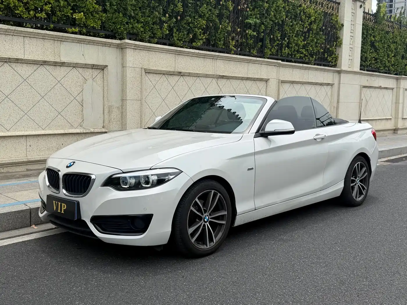 BMW 2 Series (Import)