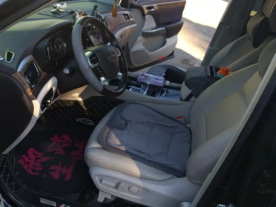 GAC Trumpchi Trumpchi GS8 2017 320T 2WD Luxury Smart Connect (7-seater) фото 9